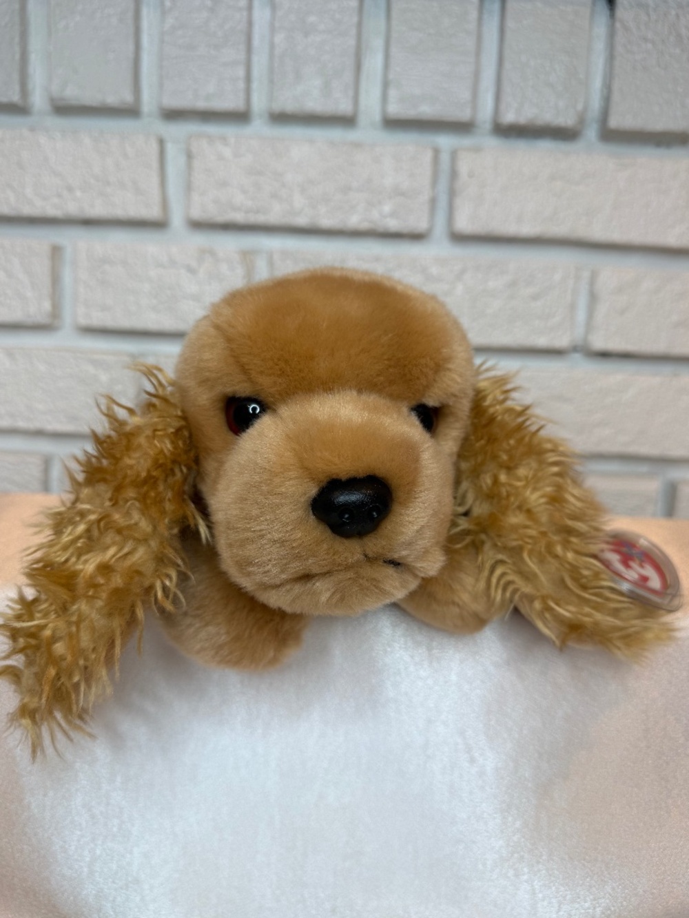 Ty Beanie Buddy Spunky the Cocker Spaniel Plush with Tag